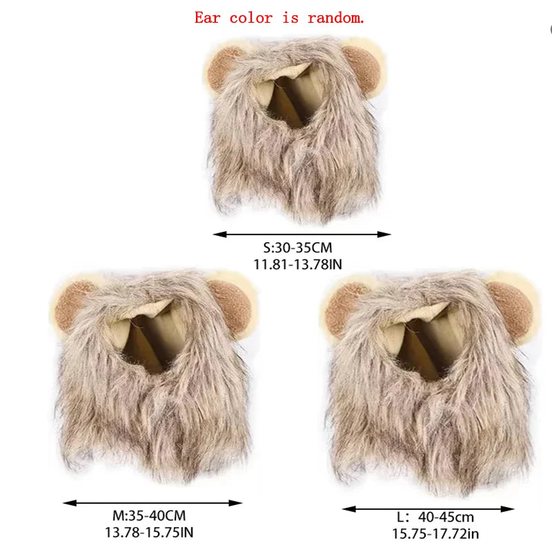 See0e6ff3562e45acbba781b9e0abfb9dS